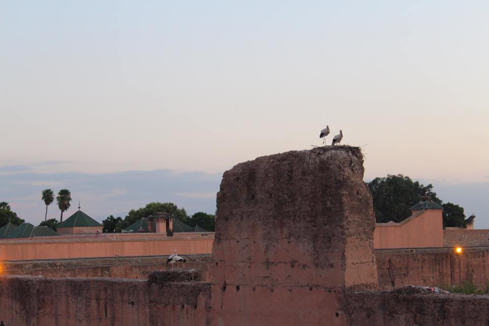Hostel Young And Happy Marrakech