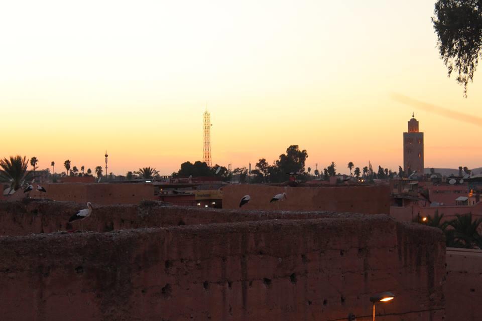 Hostel Young And Happy Marrakech *